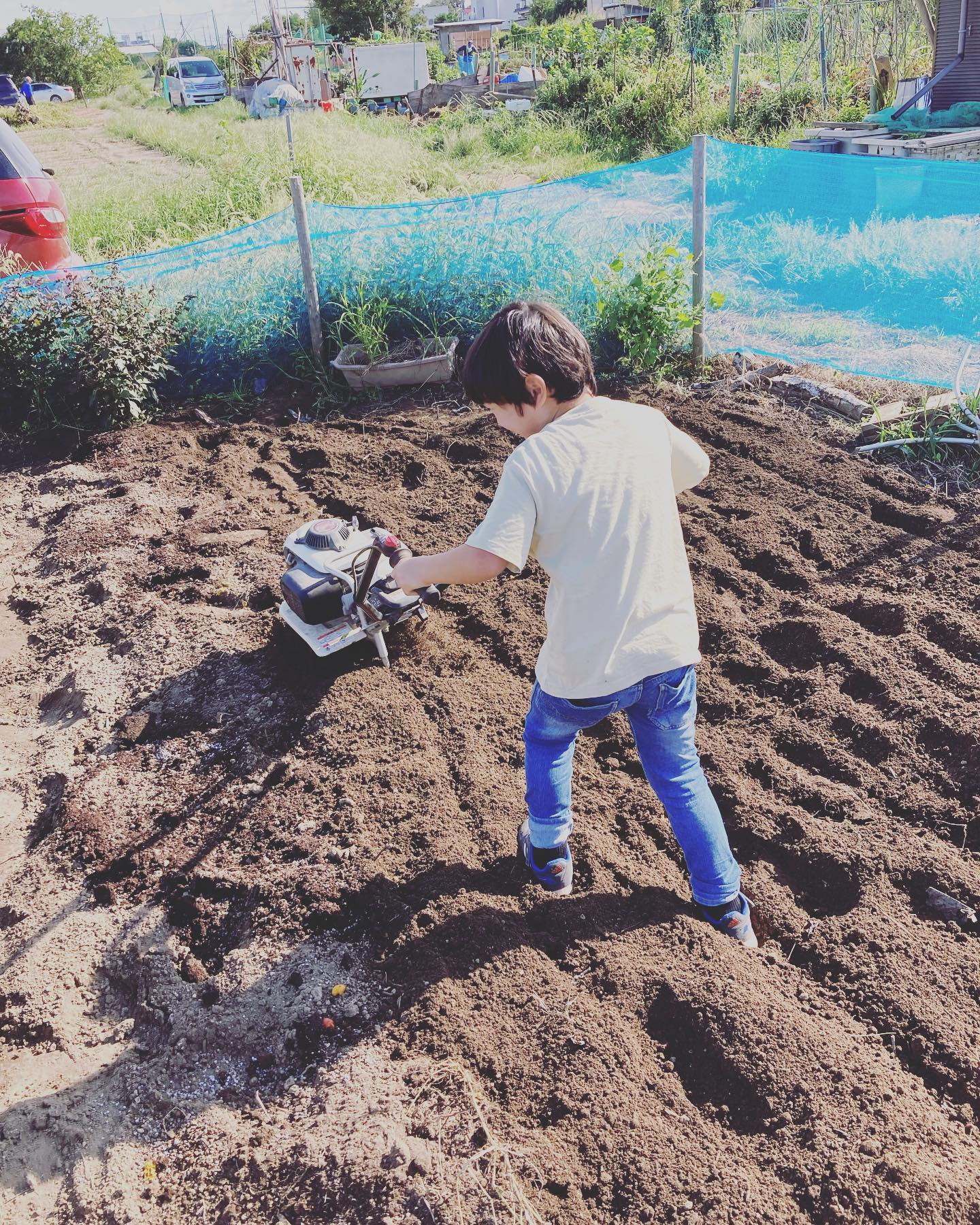 耕運機で堆肥と肥料を混ぜる。息子がやると言ったので屈んで耕運機を支えていたらギックリではないけれど、腰がめちゃくちゃ痛い…今日中に島らっきょうを植えたかったけれど後日。。。#家庭菜園 #菜園 #貸し農園 #サイエナー #わたしの野菜生活　#耕運機 - 畑での一コマ